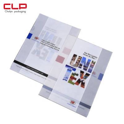 Top Sale Customized Eco-friendly Pp Plastic File Folder